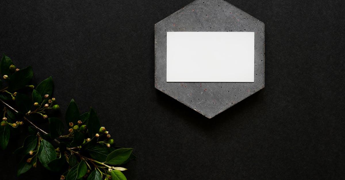 Atlas Climate Co brand materials
